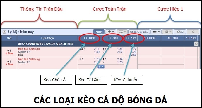 Đặt cược chính xác nhất với các tips cá độ hàng đầu của các cao thủ tại W88