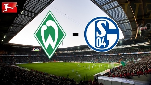 Soi kèo bóng đá trận Schalke 04 vs Werder Bremen, 30/5/2020 – Giải VĐQG Đức