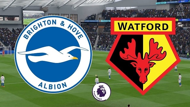 Soi kèo nhà cái bóng đá trận Brighton vs Watford