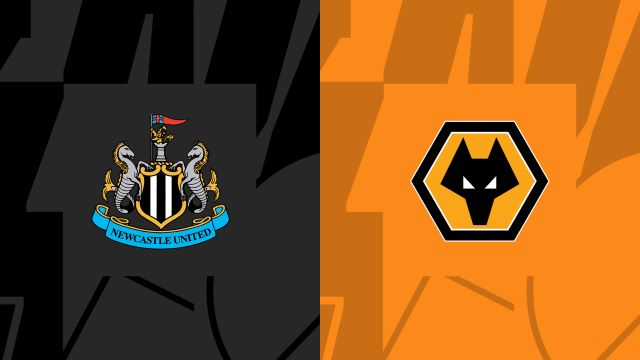 Soi kèo bóng đá trận Newcastle vs Wolves, 12/03/2023 – Ngoại hạng Anh